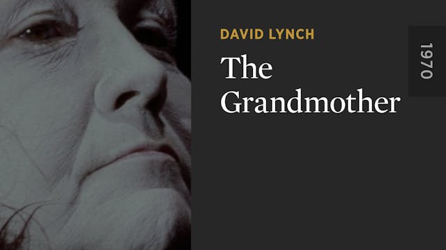 The Grandmother OTTID:462440