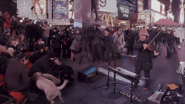 Concert for Dogs OTTID:460738