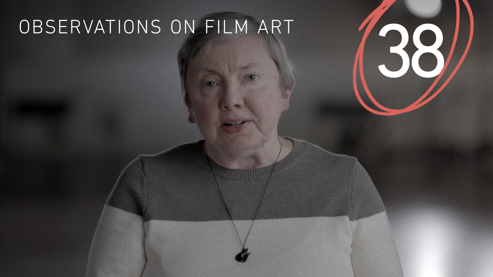 Visual Strategies in LA CIÉNAGA