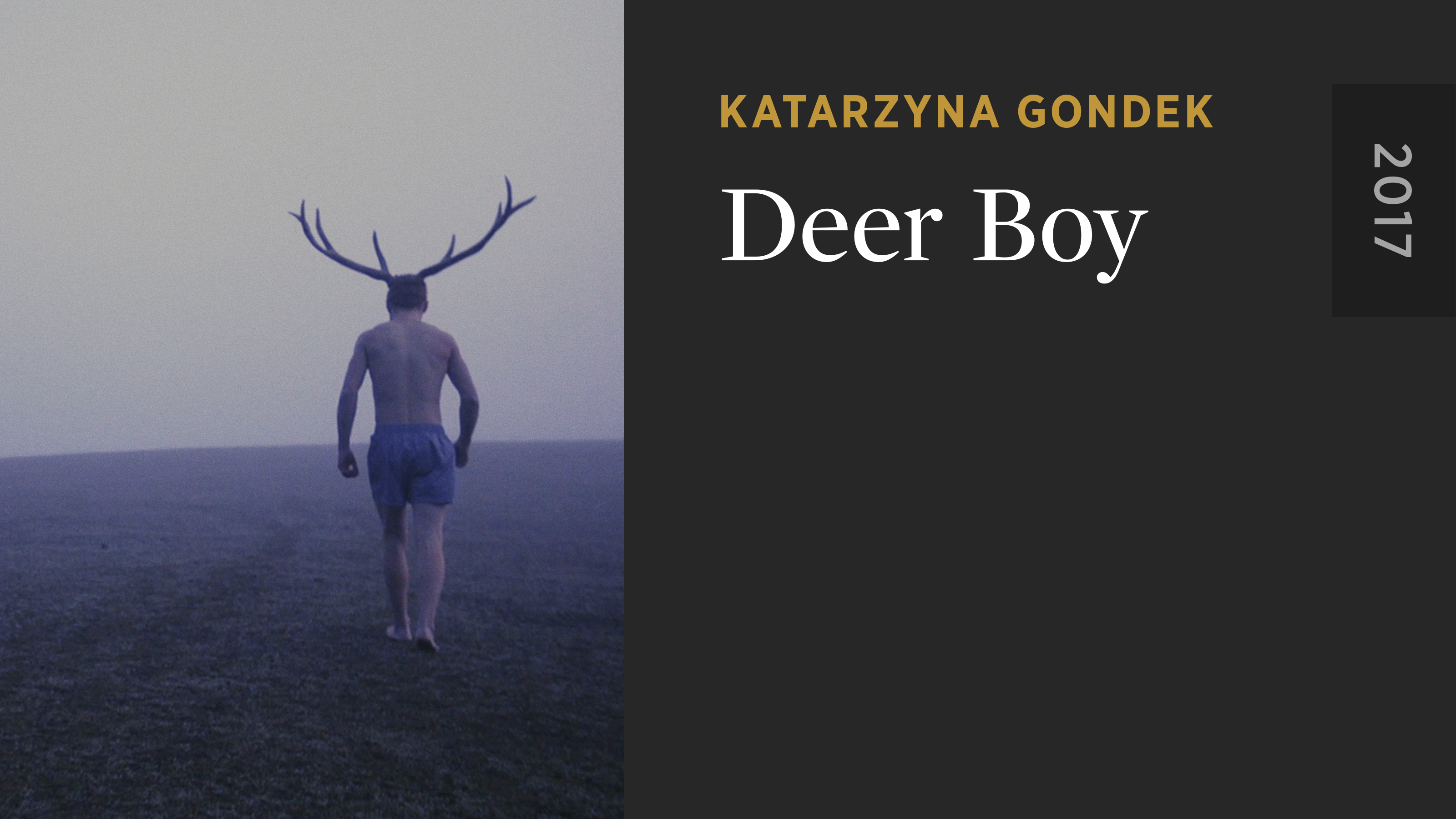 Deer Boy