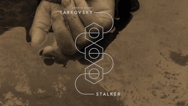 STALKER Edition Intro OTTID:469253