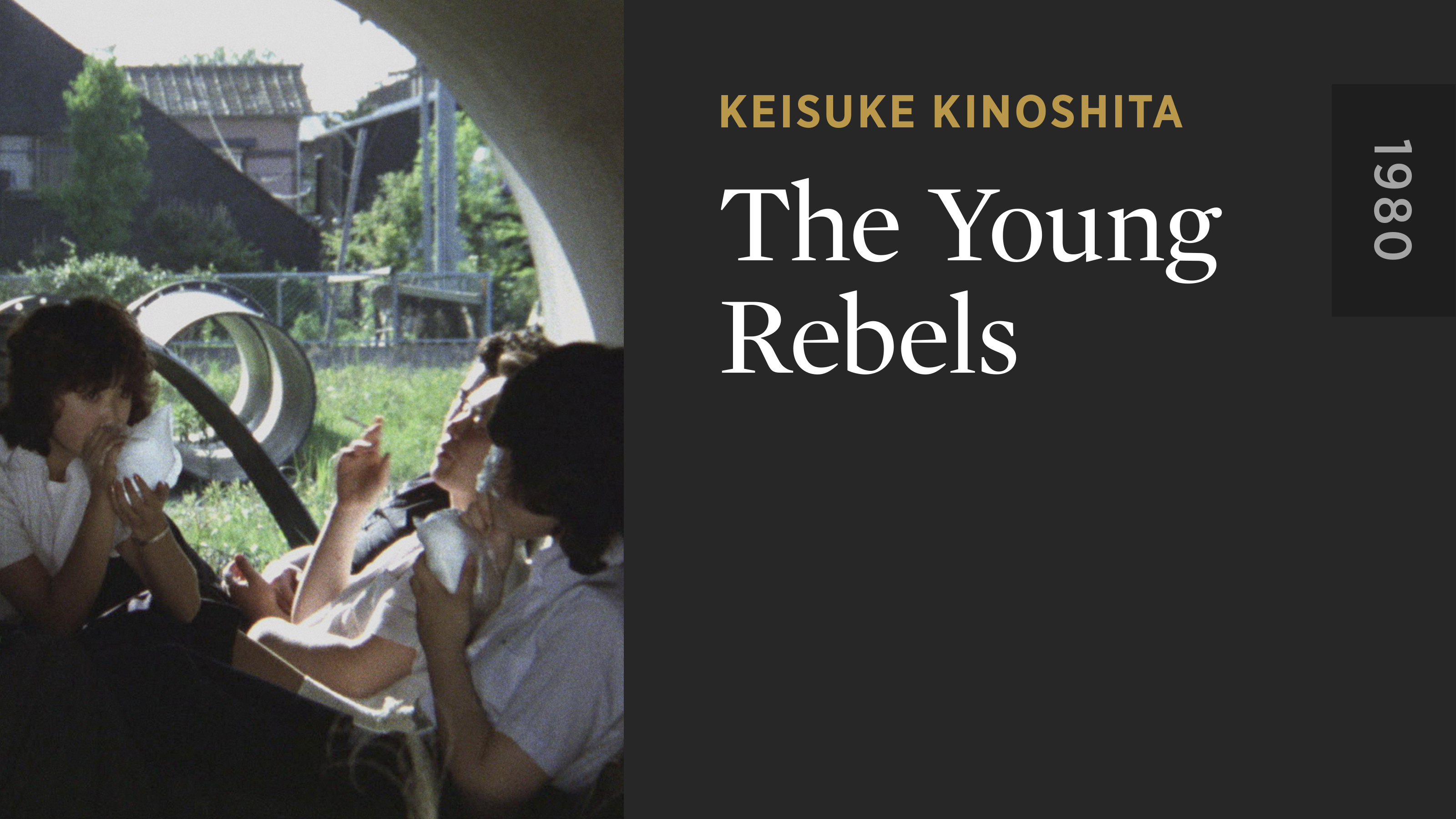 The Young Rebels