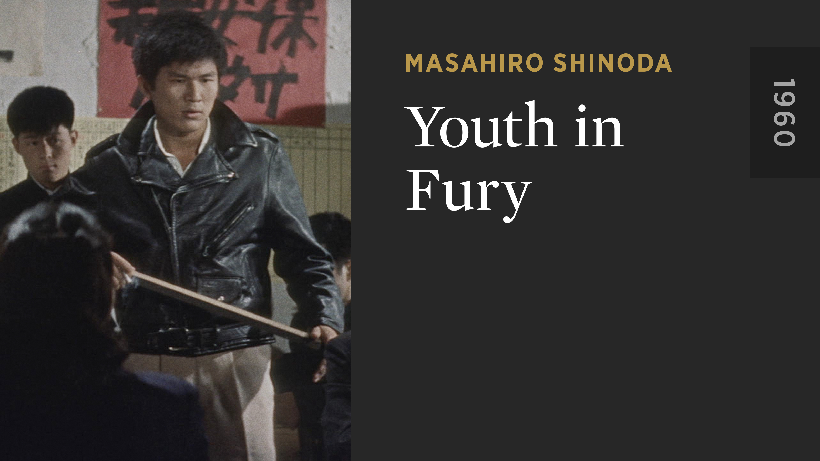 Youth in Fury