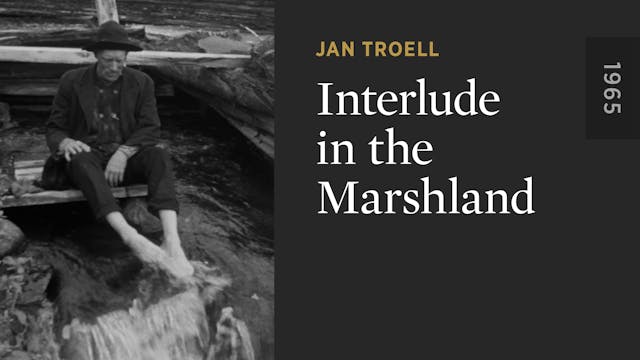 Interlude in the Marshland OTTID:552400