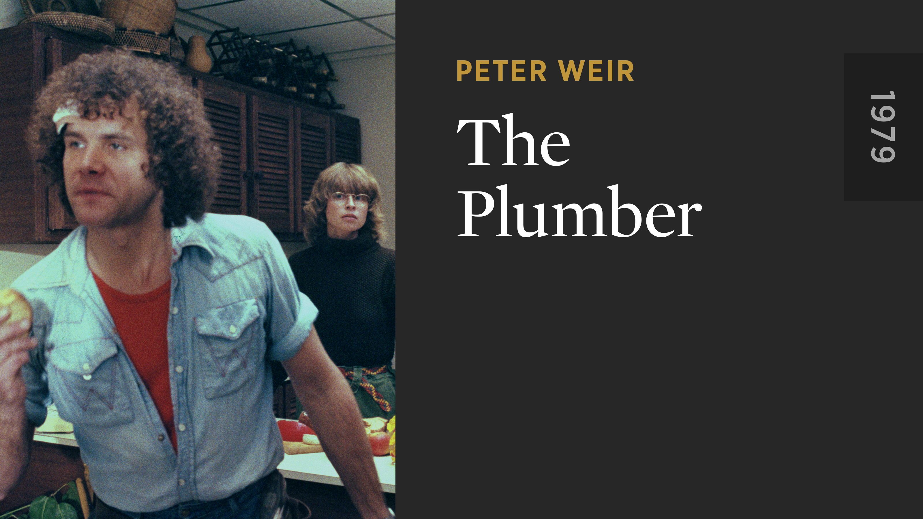 The Plumber