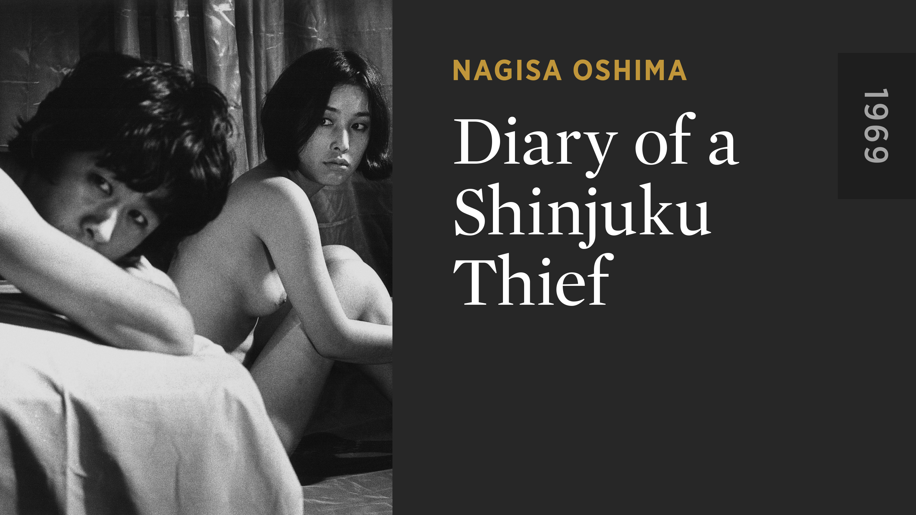 Diary of a Shinjuku Thief