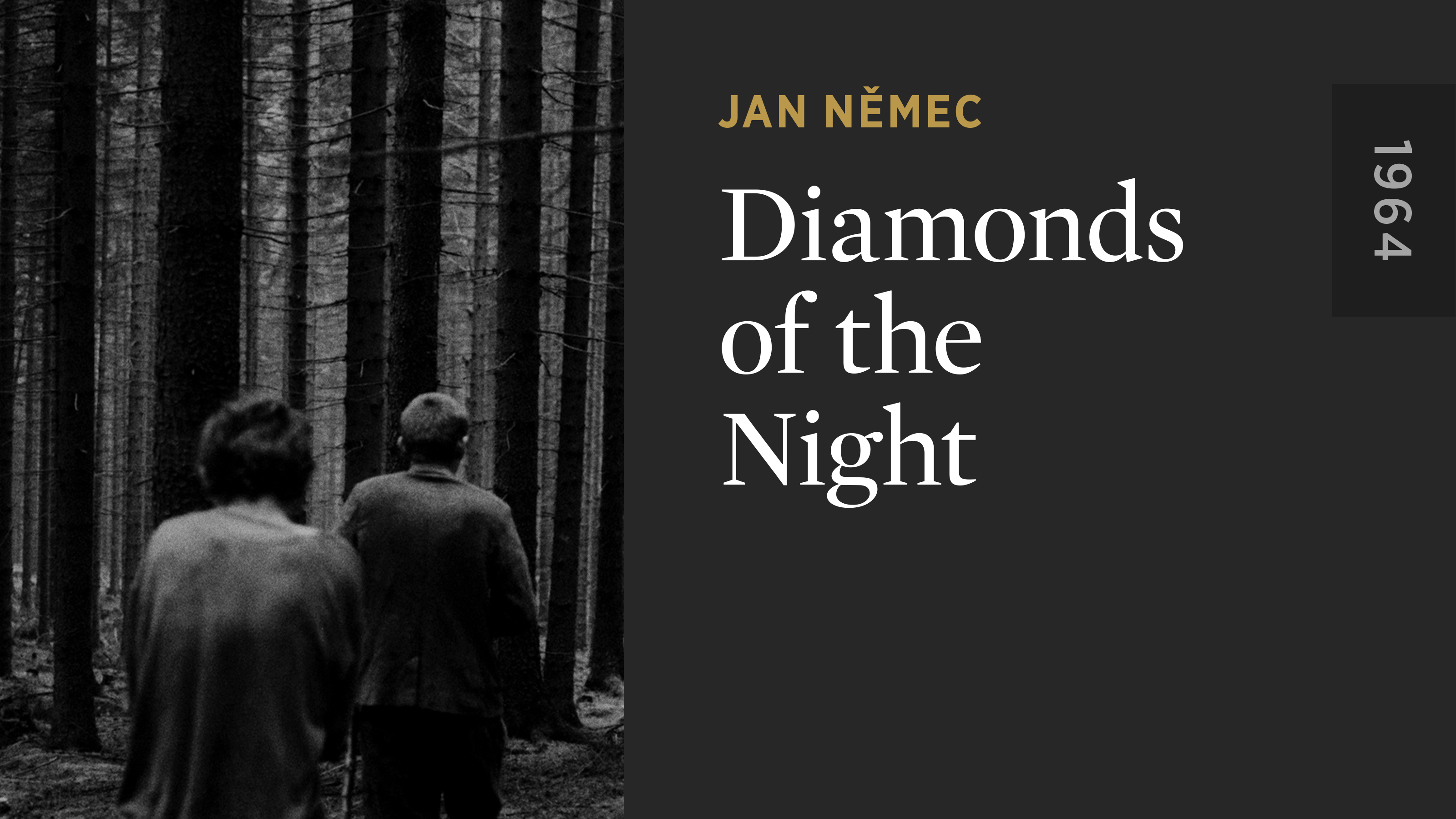 Diamonds of the Night