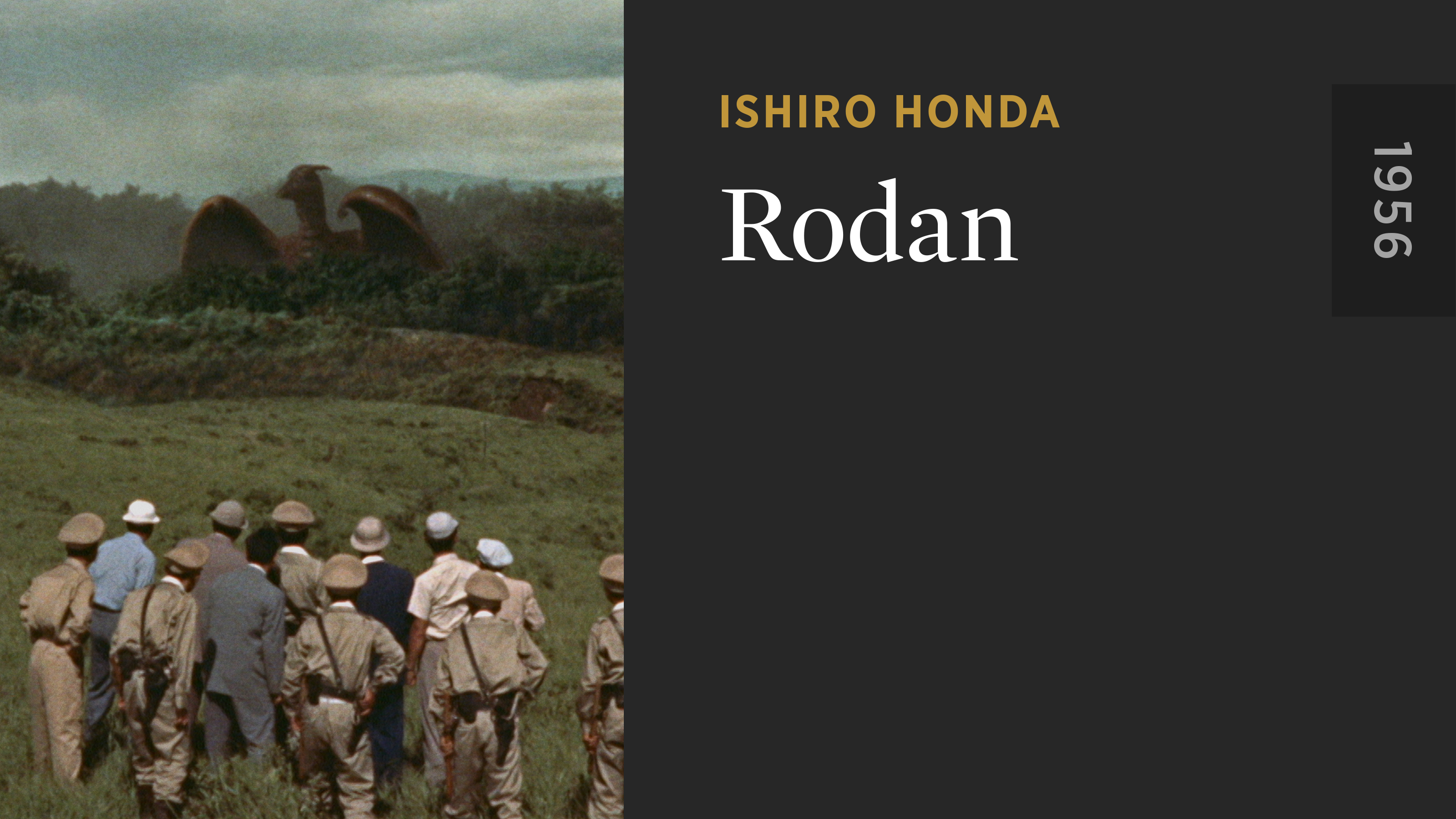 Rodan