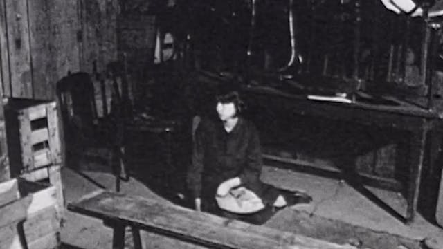 Cinéma: Travelling OTTID:455912