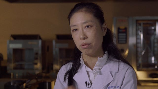 Seiko Ogawa on TAMPOPO OTTID:463817