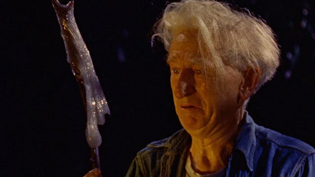THE BLOB Commentary 2 OTTID:456041