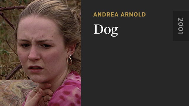 Dog OTTID:552375