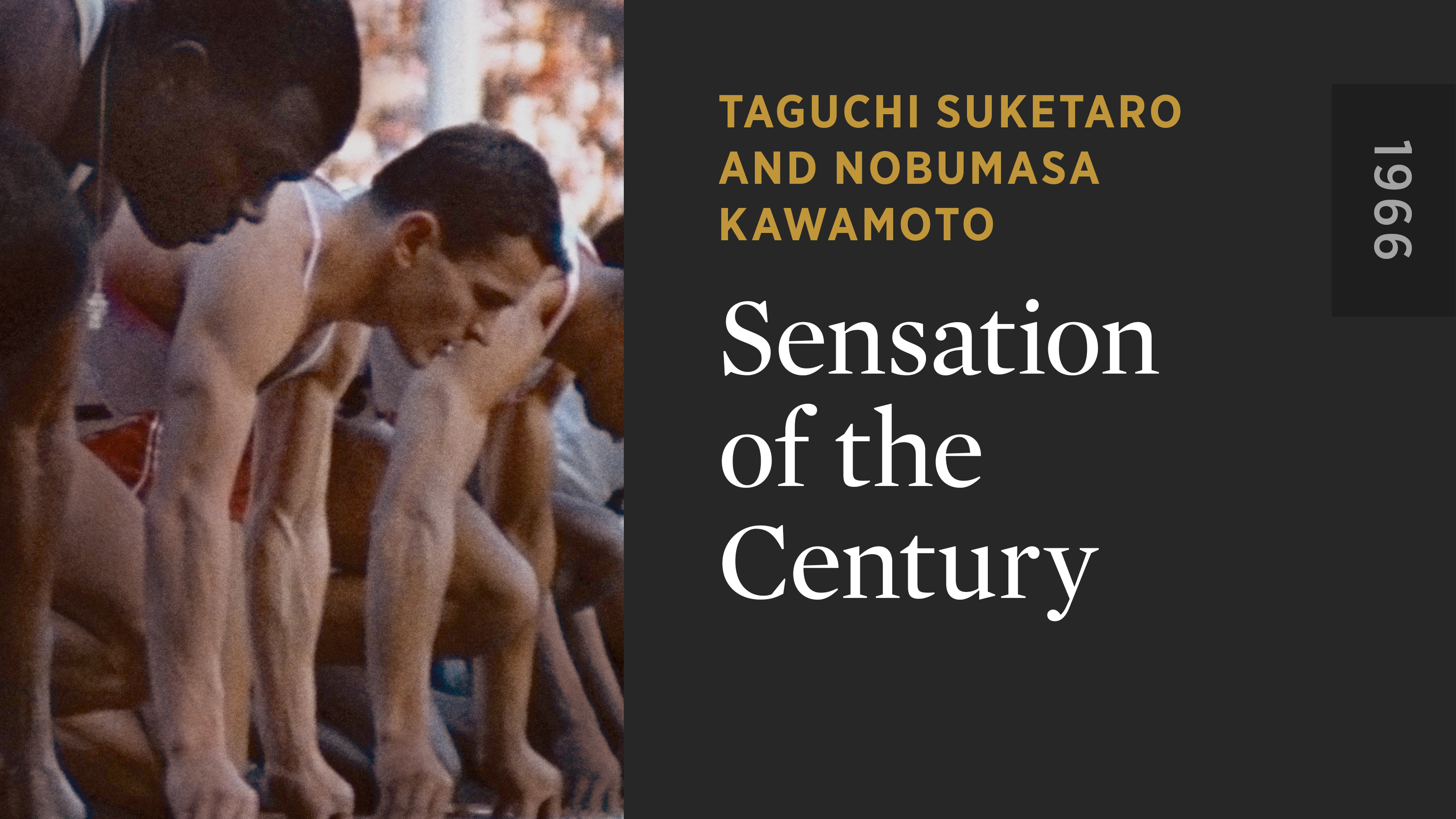 Sensation of the Century