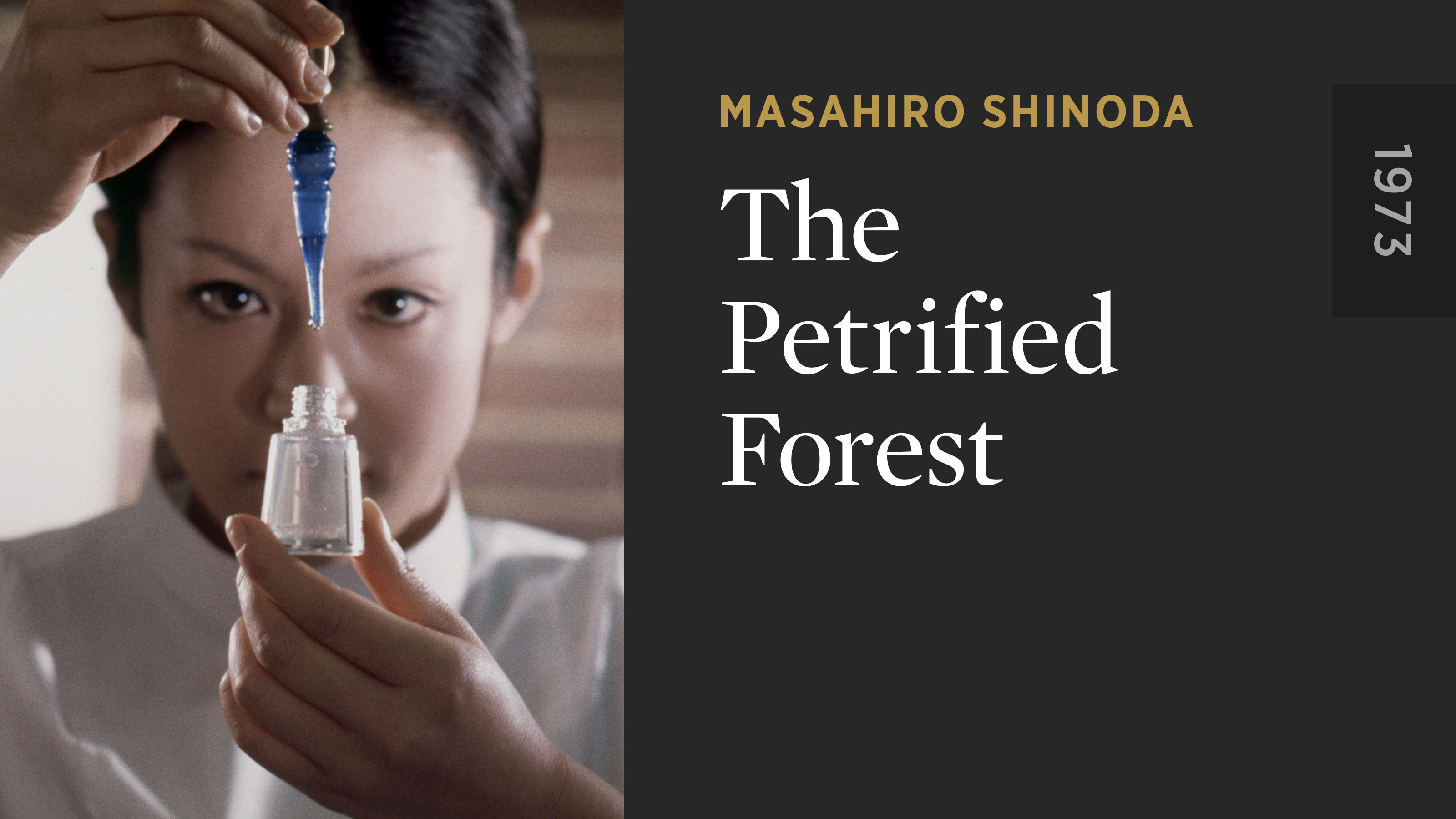 The Petrified Forest