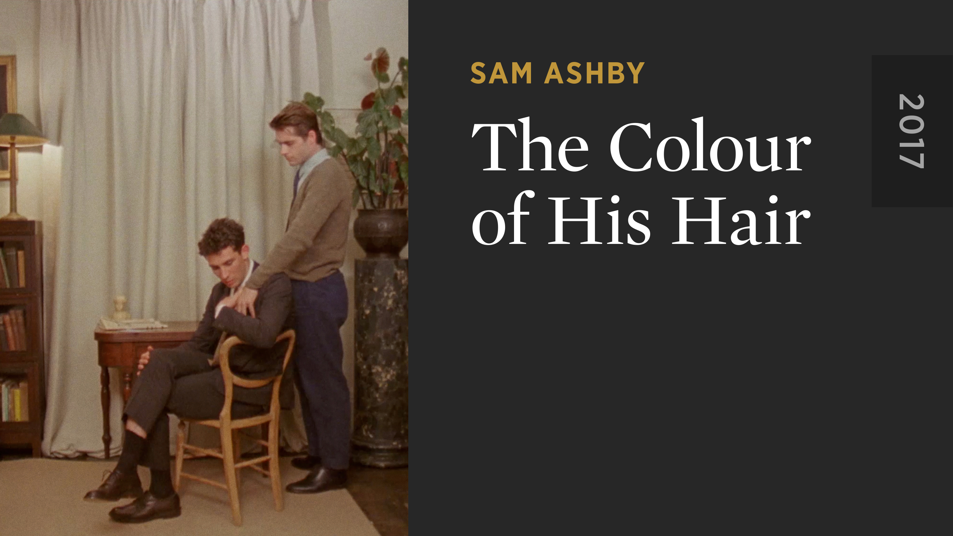 The Colour of His Hair