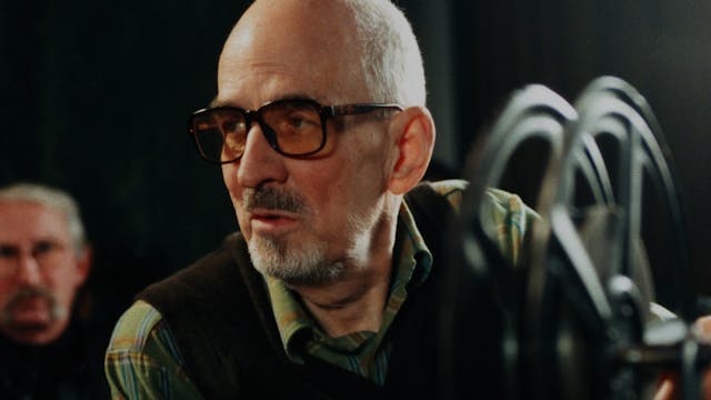 Bergman 101 OTTID:455618