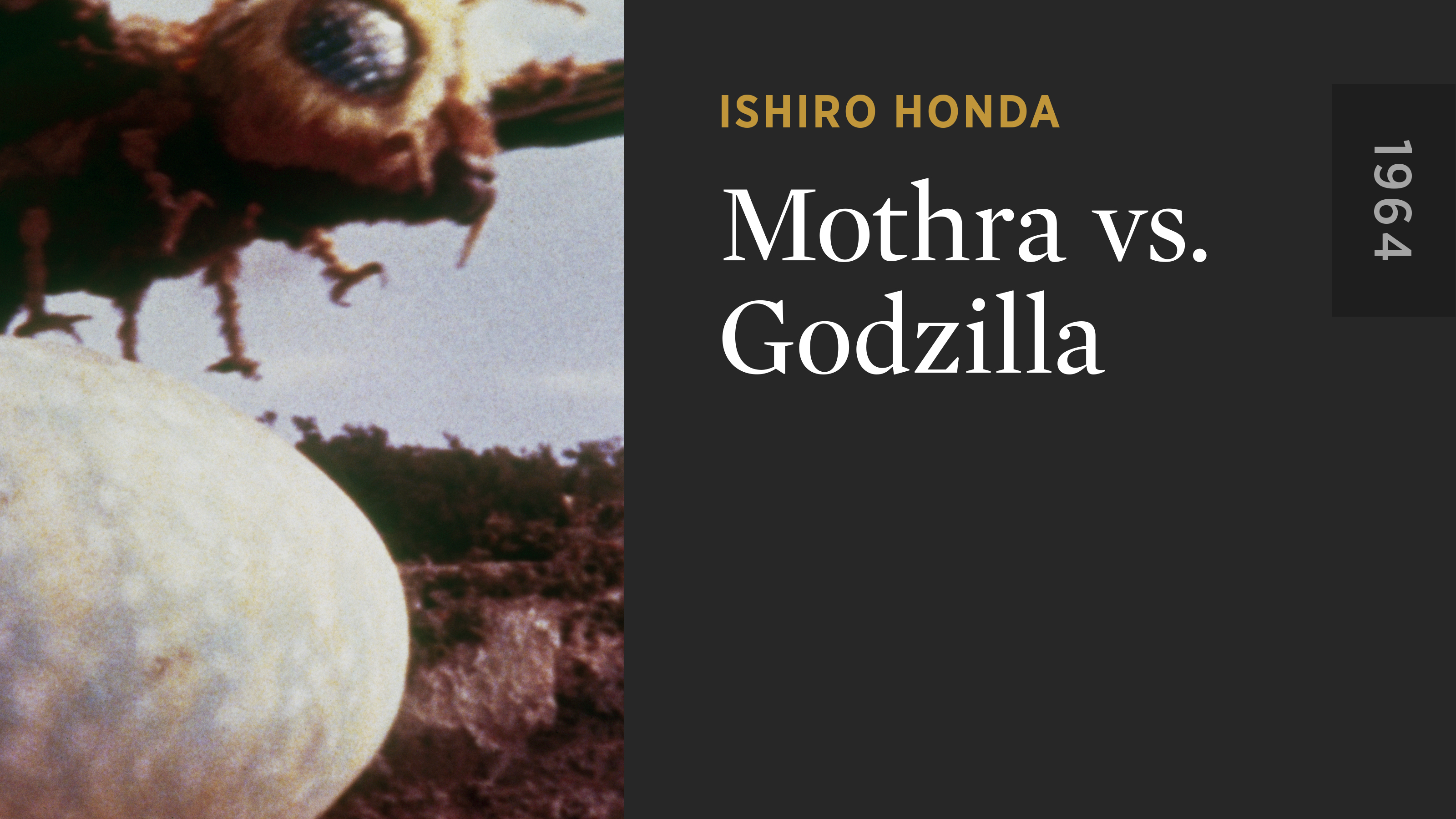 Mothra vs. Godzilla