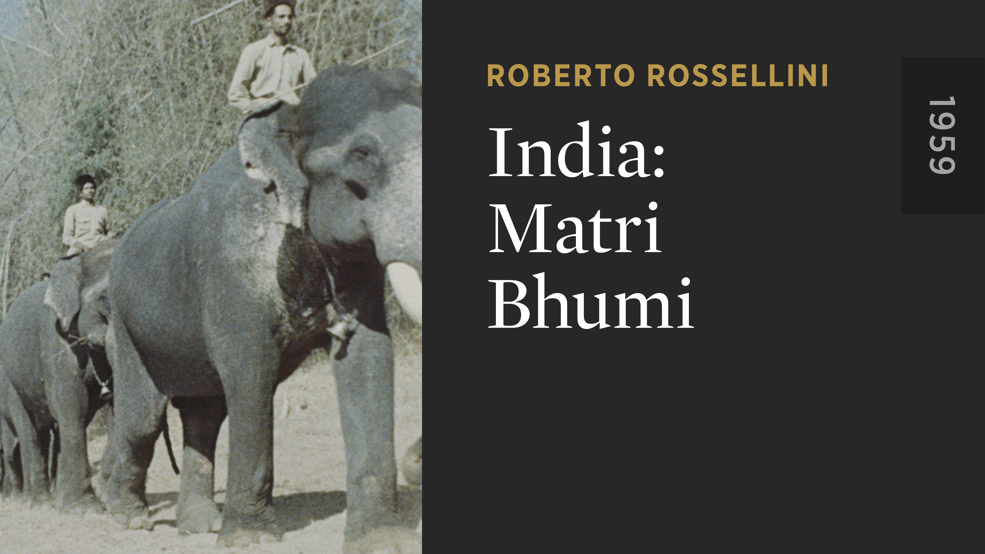 India: Matri Bhumi