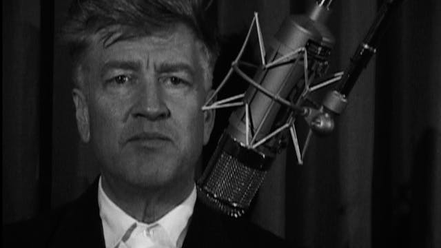 David Lynch on THE AMPUTEE OTTID:463538