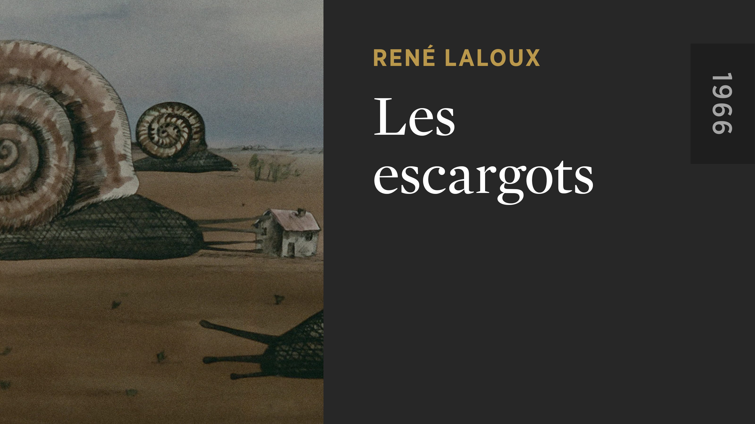 Les escargots