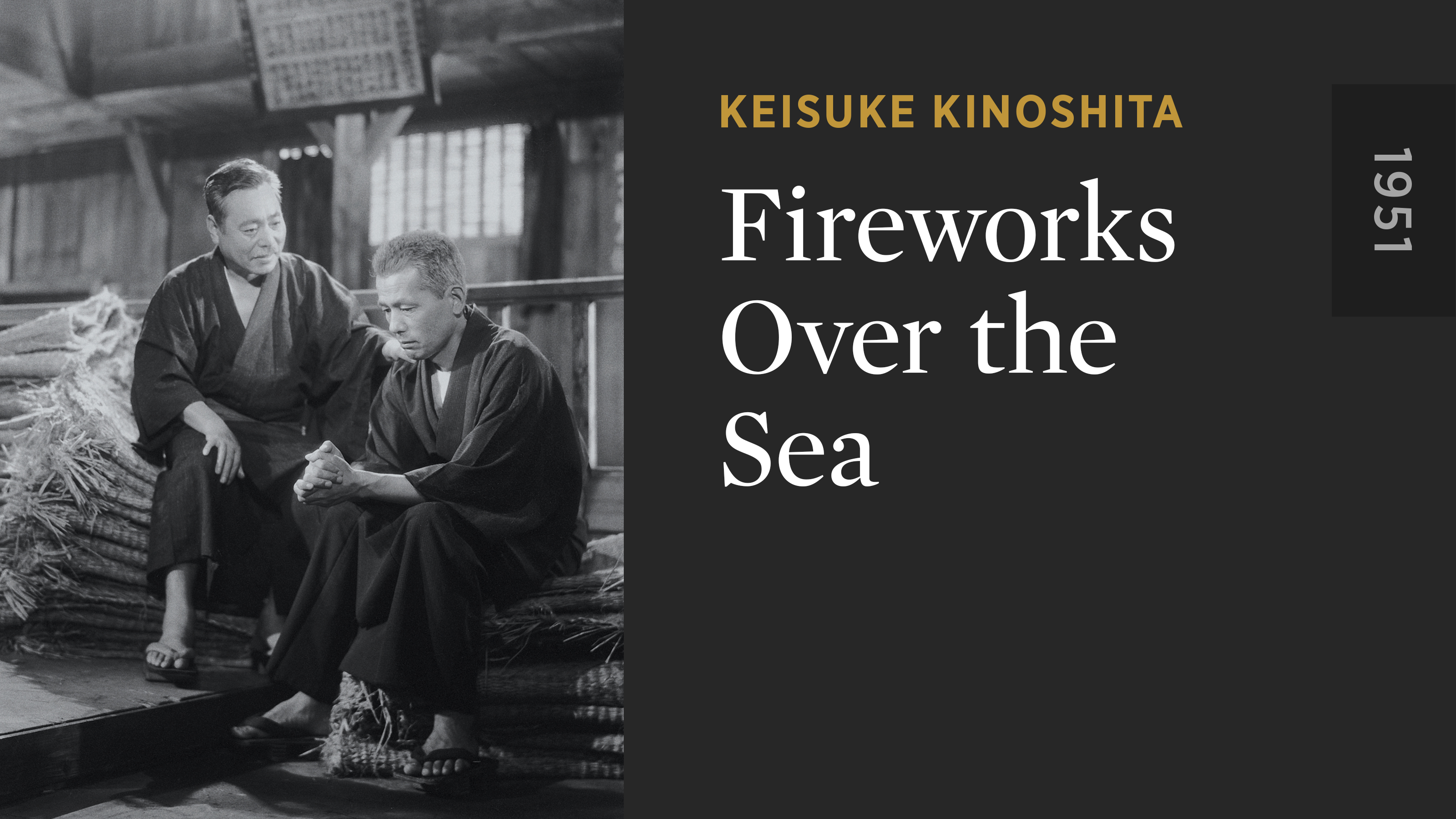 Fireworks Over the Sea