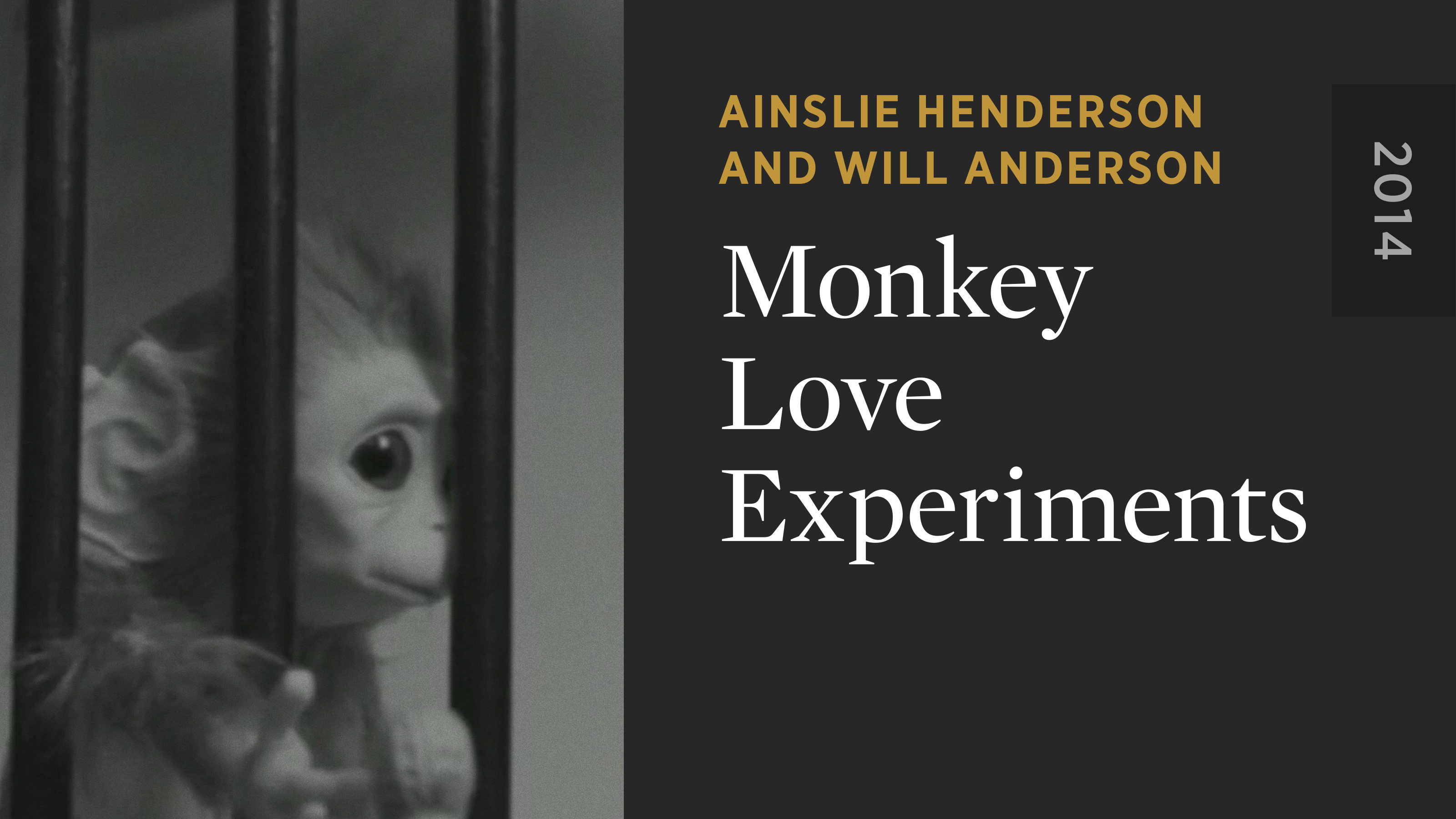 Monkey Love Experiments