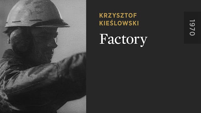 Factory OTTID:512875