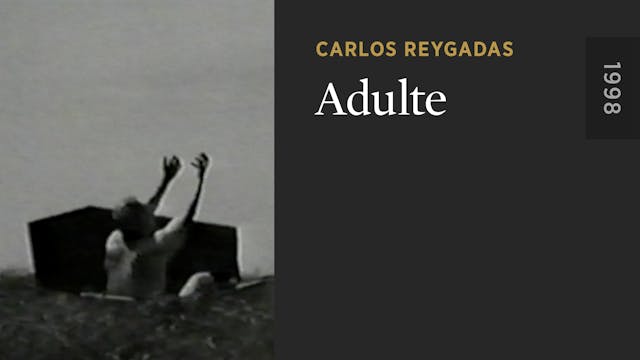 Adulte OTTID:512919
