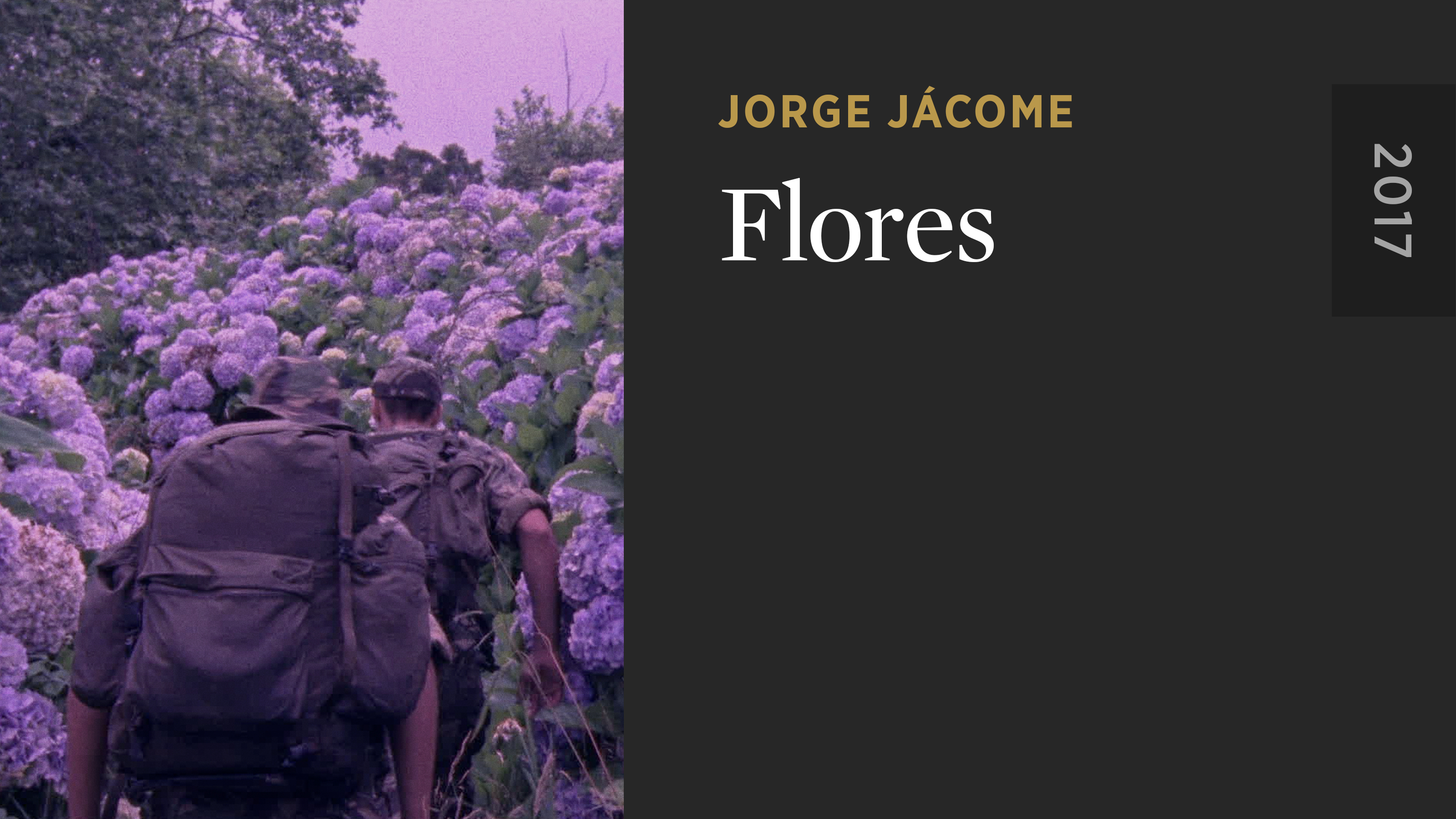 Flores