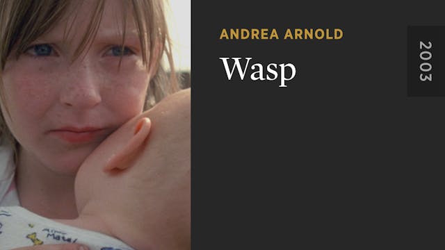 Wasp