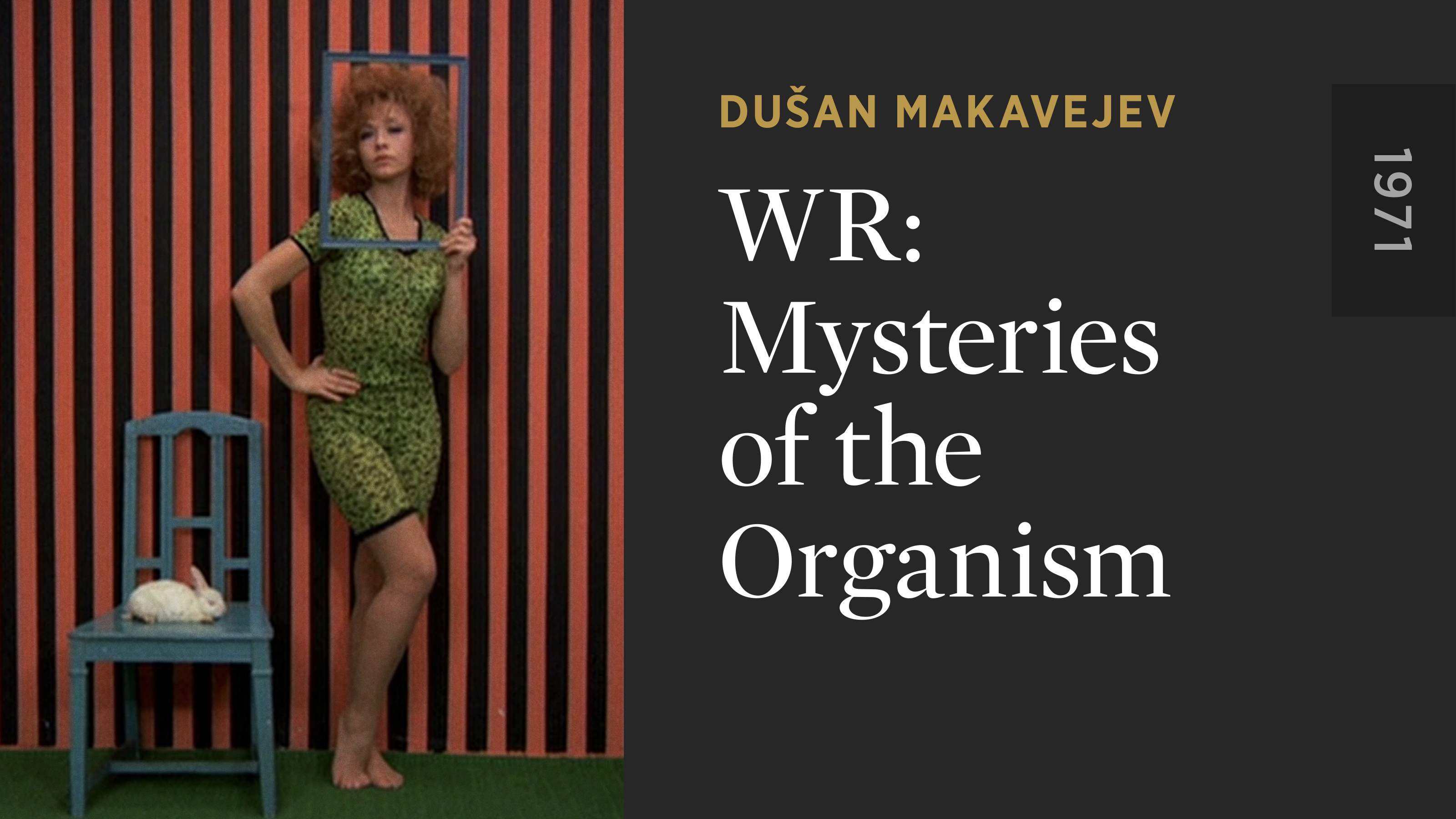 WR: Mysteries of the Organism