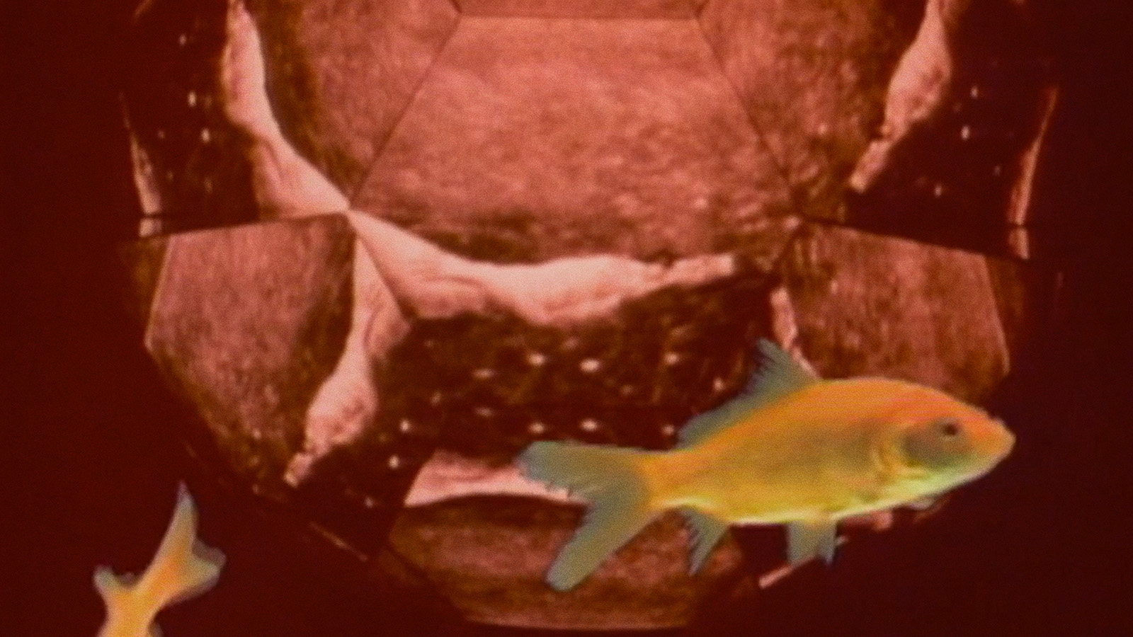 The “Improved” Version