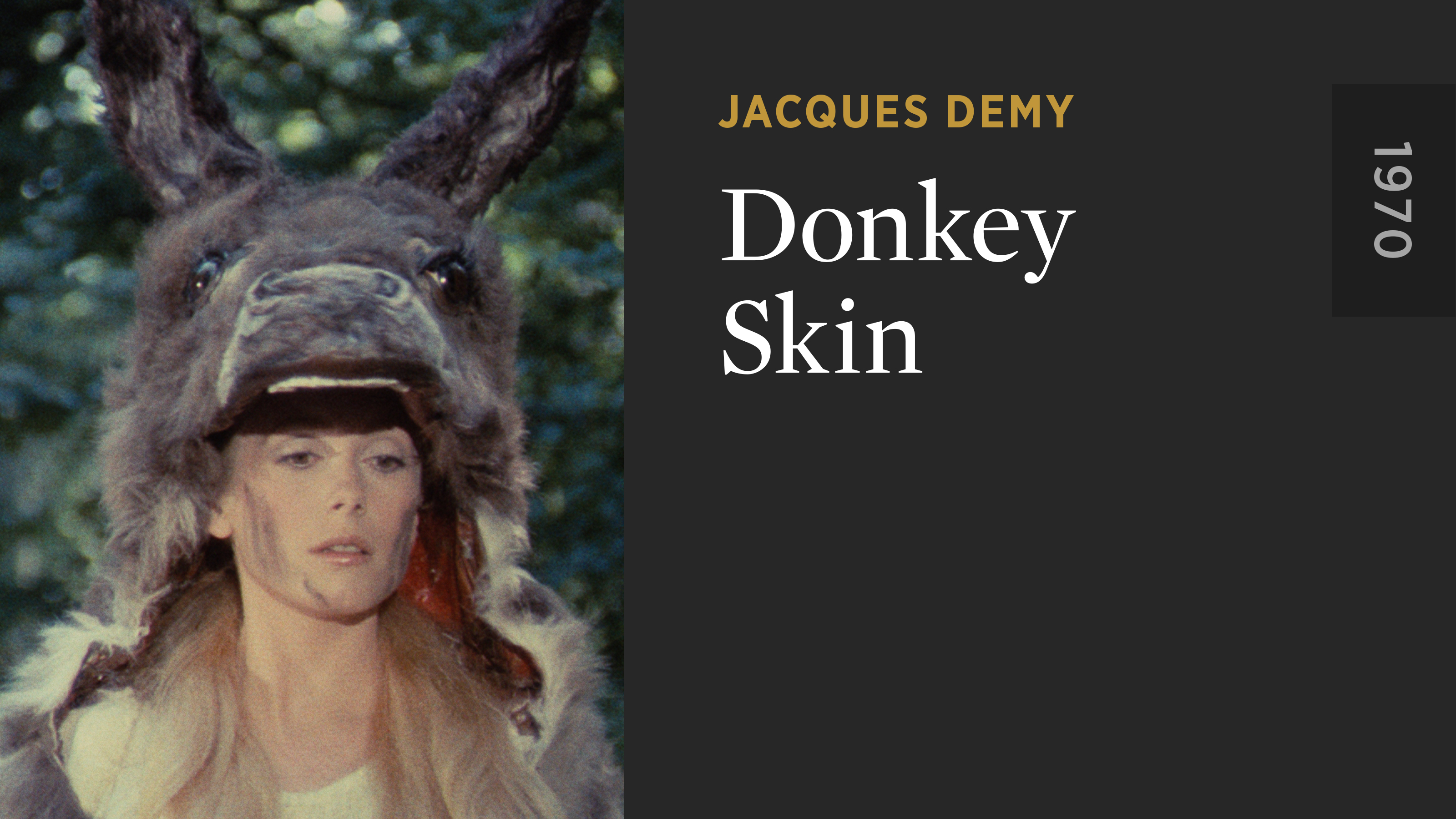 Donkey Skin