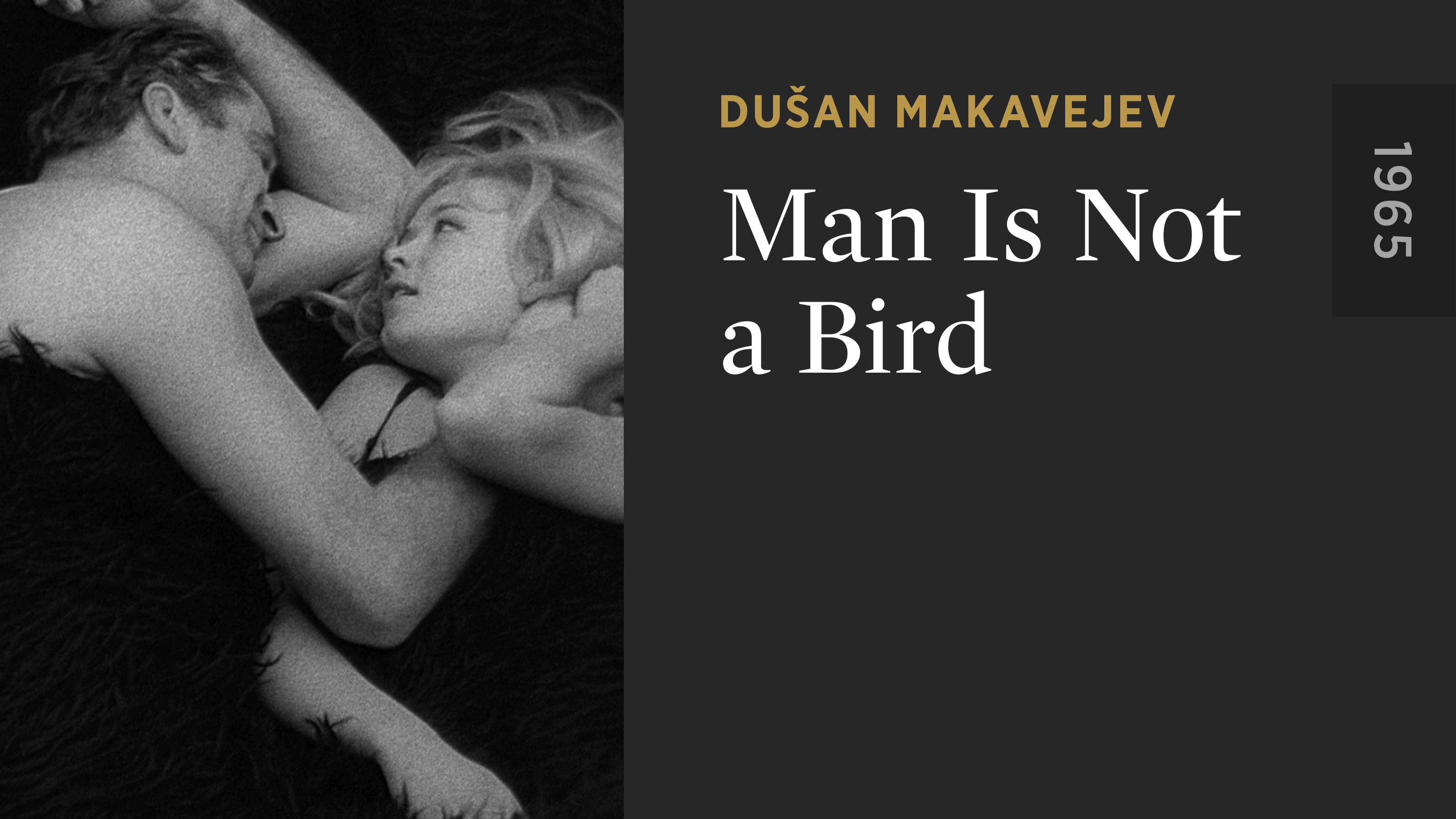 Man Is Not a Bird