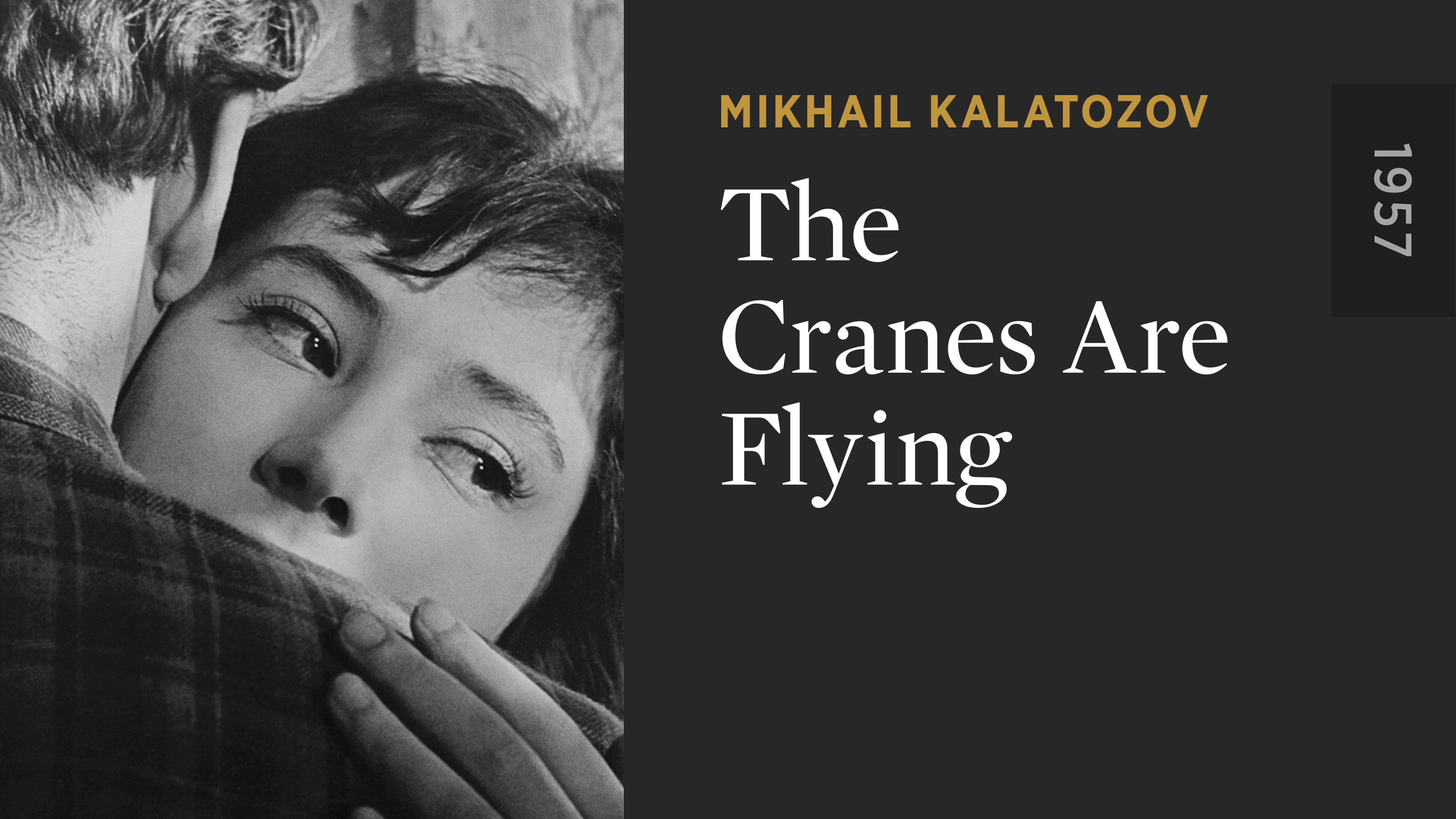 The Cranes Are Flying