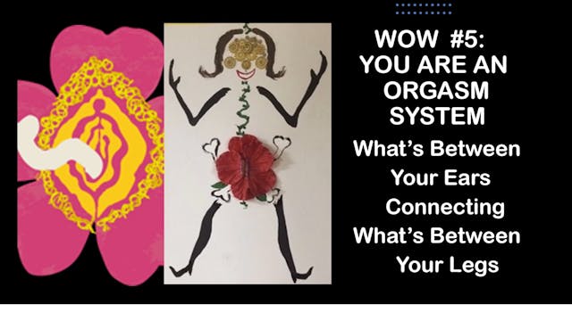 WOW#5 You are an Orgasm System Ladies!