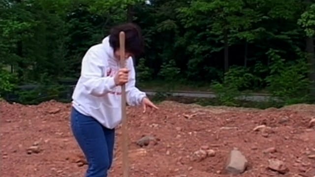 Donna Looks for Evidence