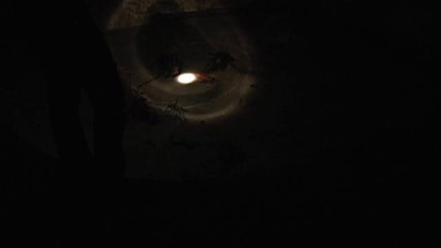 Another Search at the Farm Colony