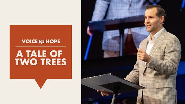 Ep: 4 A Tale of Two Trees