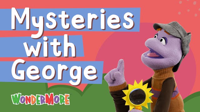 Mysteries with George