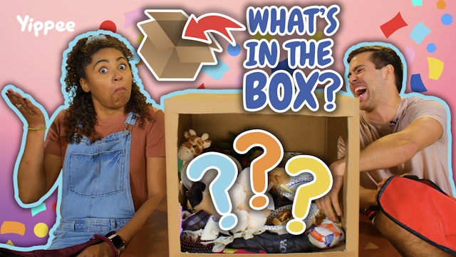 Yippee Show - What's in the Box Challenge!