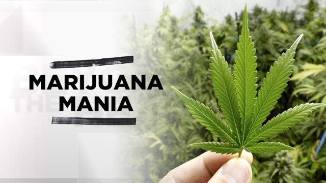 Context - October 18, 2018 - Marijuana Mania
