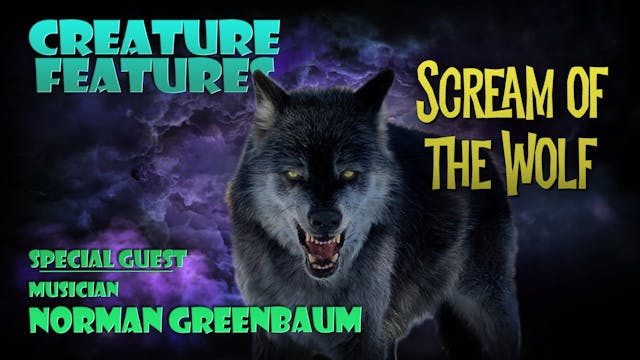 Norman Greenbaum & Scream of The Wolf