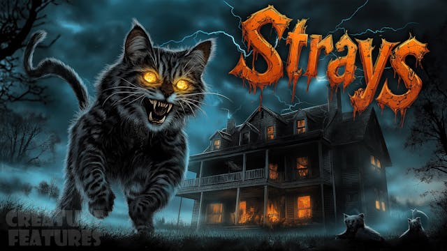 CF: Strays (1991)