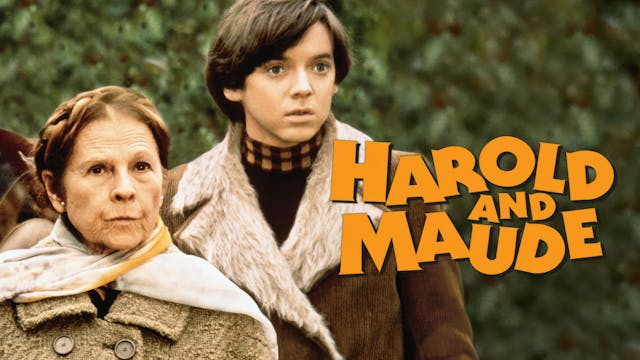 Harold And Maude (1971)