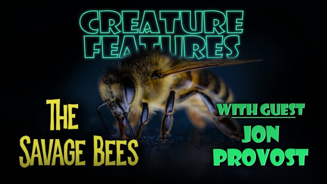 John Provost & The Savage Bees
