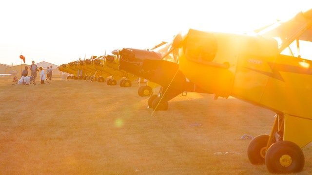 Cubs 2 OSH - Trailer