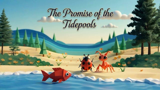 The Promise of the Tidepools