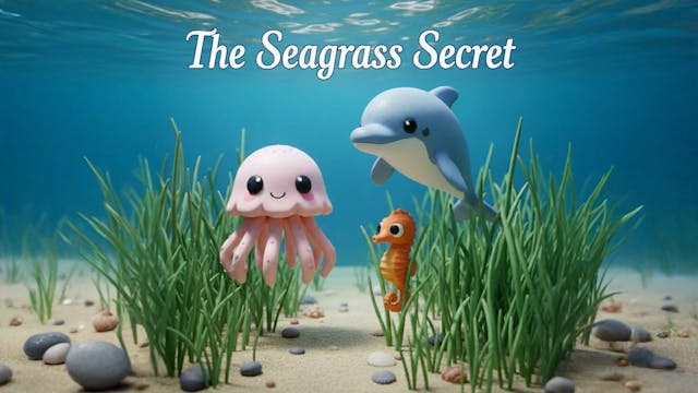 The Seagrass Secret