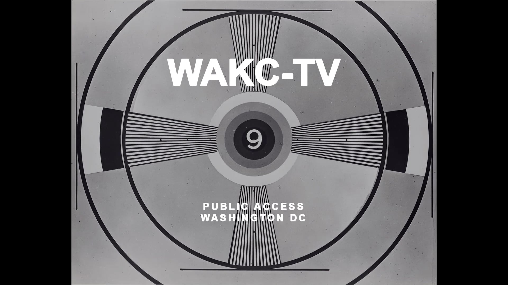 LEONARDO AND SAM- a film by Manual Cinema